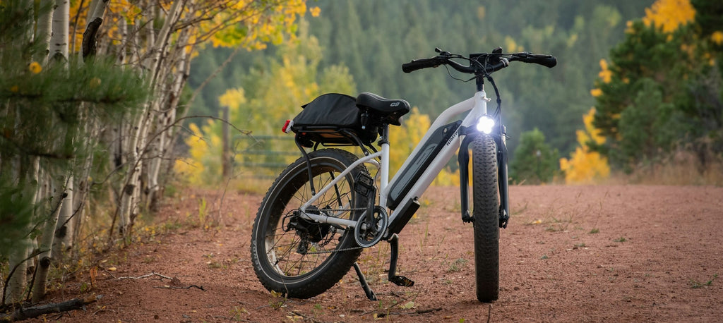 De opkomst van e-bikes: moet u een tweedehands elektrische fiets kopen?