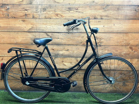 Pointer Glorie 3v 28 pouces 57 cm