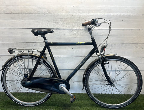 Gazelle Orange