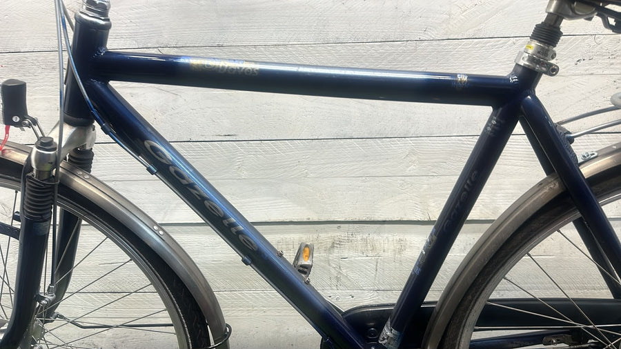 Gazelle Davos