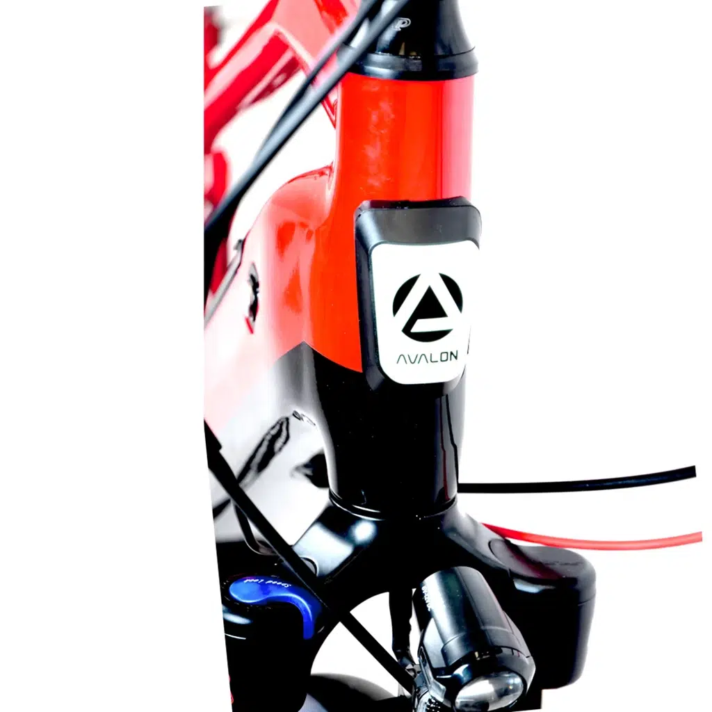 AVALON E-Pro E-Bike 49" Sport Red