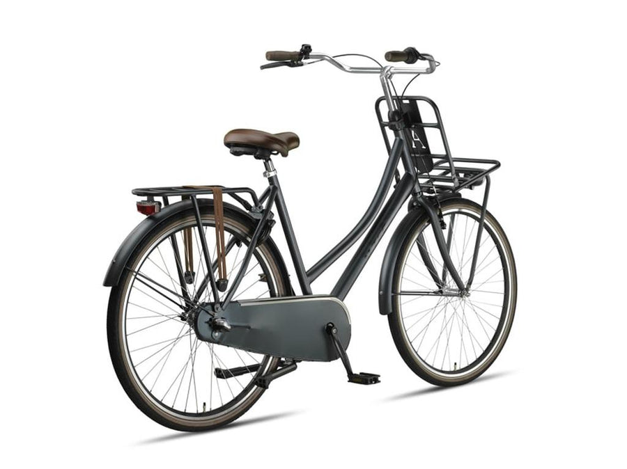Altec Dutch Transportfiets Dolphin Grijs