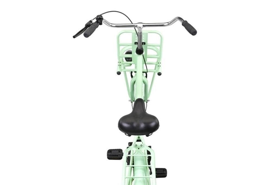 Altec Holland Transportfiets Mint Green