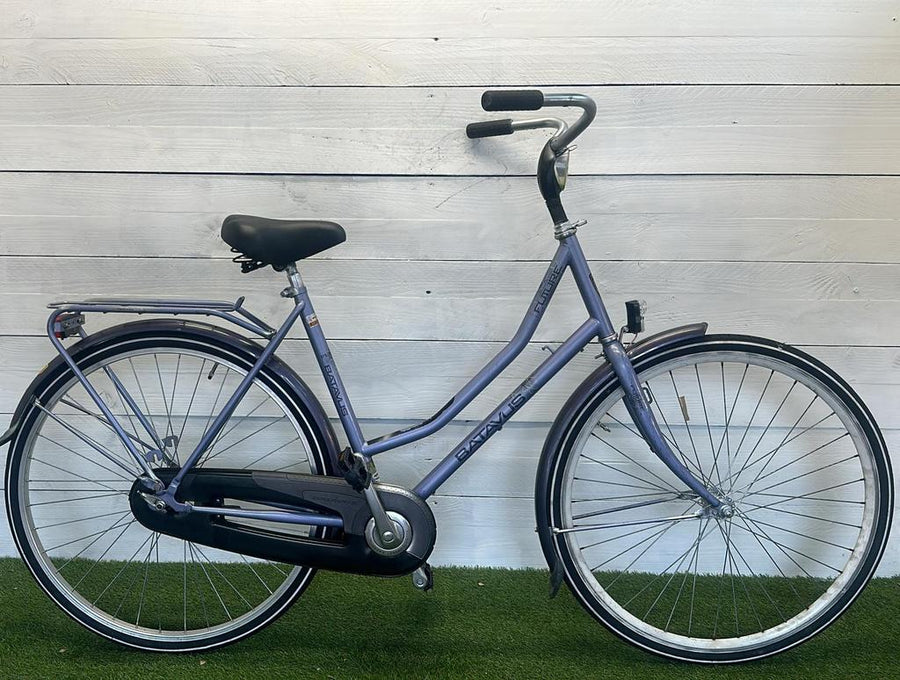 Batavus Future