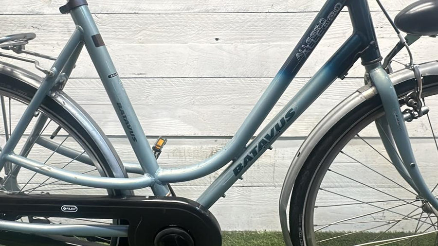 Batavus allegro cm57inch28