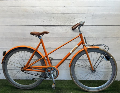 Daan Transportfiets