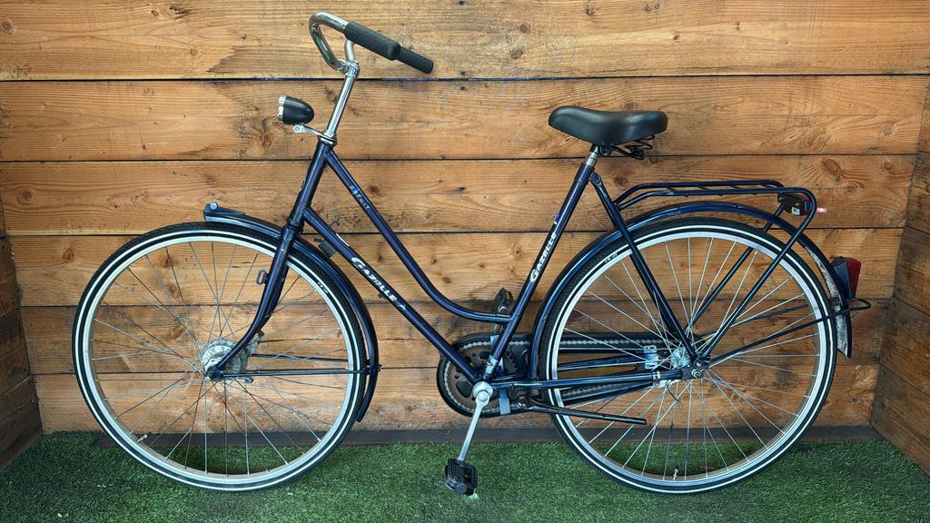 Gazelle Esprit 28inch 57cm