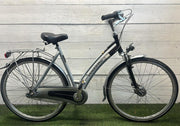 Gazelle Laguna