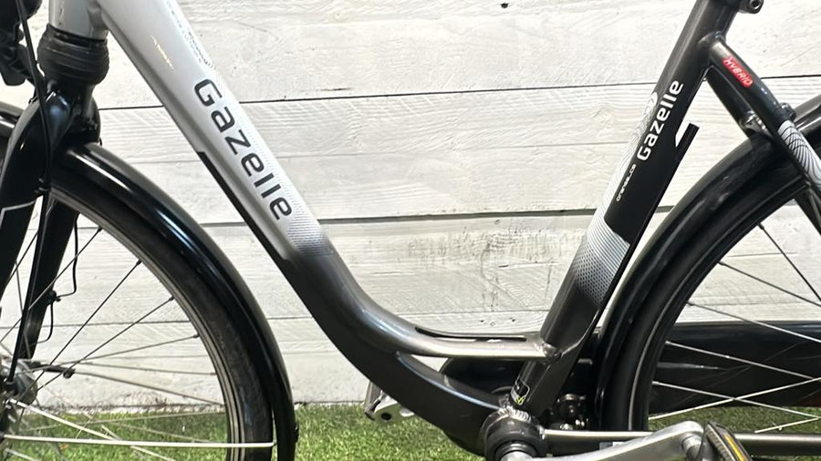 Gazelle Orange