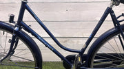 Gazelle Primeur