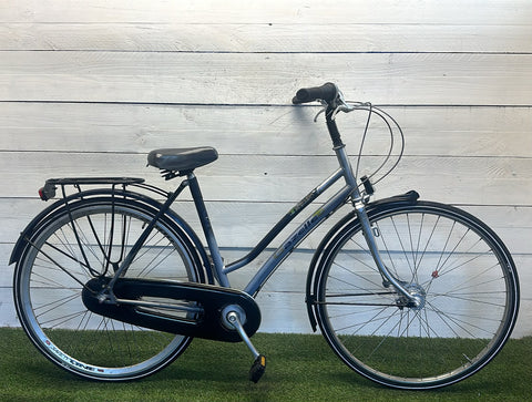 Gazelle Trendy