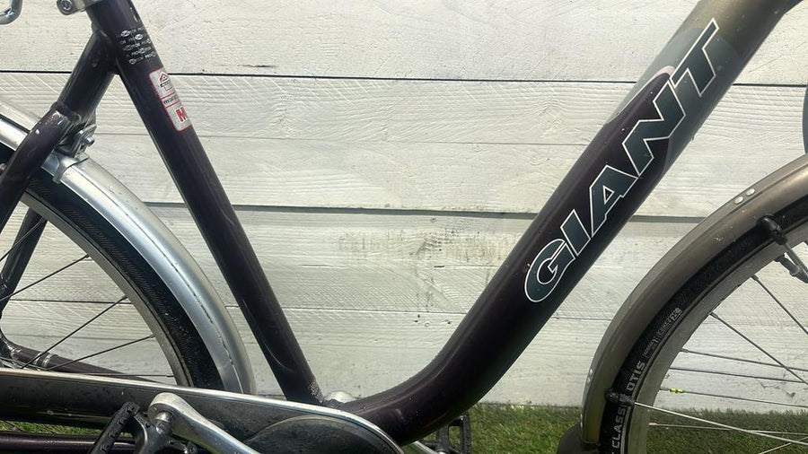 Giant Adelaide Lage Instap