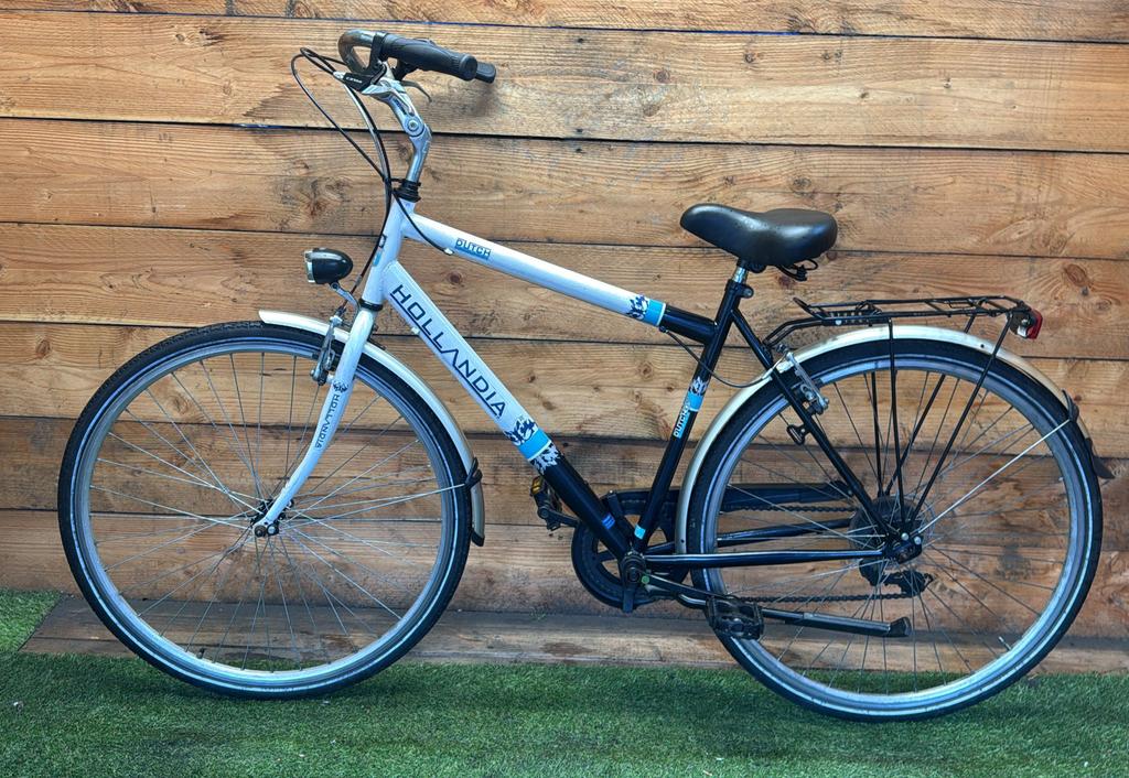 Hollandia Dutch 7v 28inch 52cm