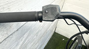Pegasus E-bike