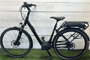 Pegasus E-bike