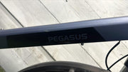 Pegasus Siena
