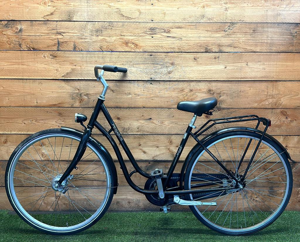 Pegasus Touren 28inc 53cm