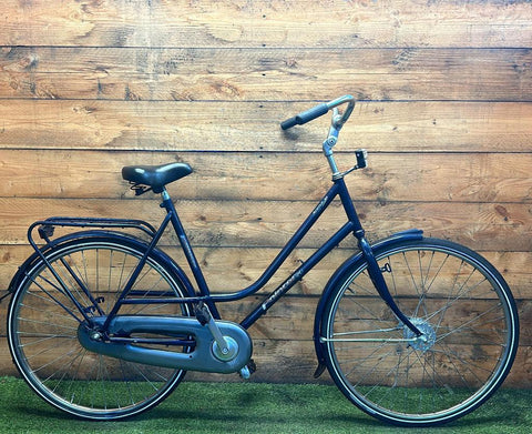 Pointer Arena 28 pouces 57 cm