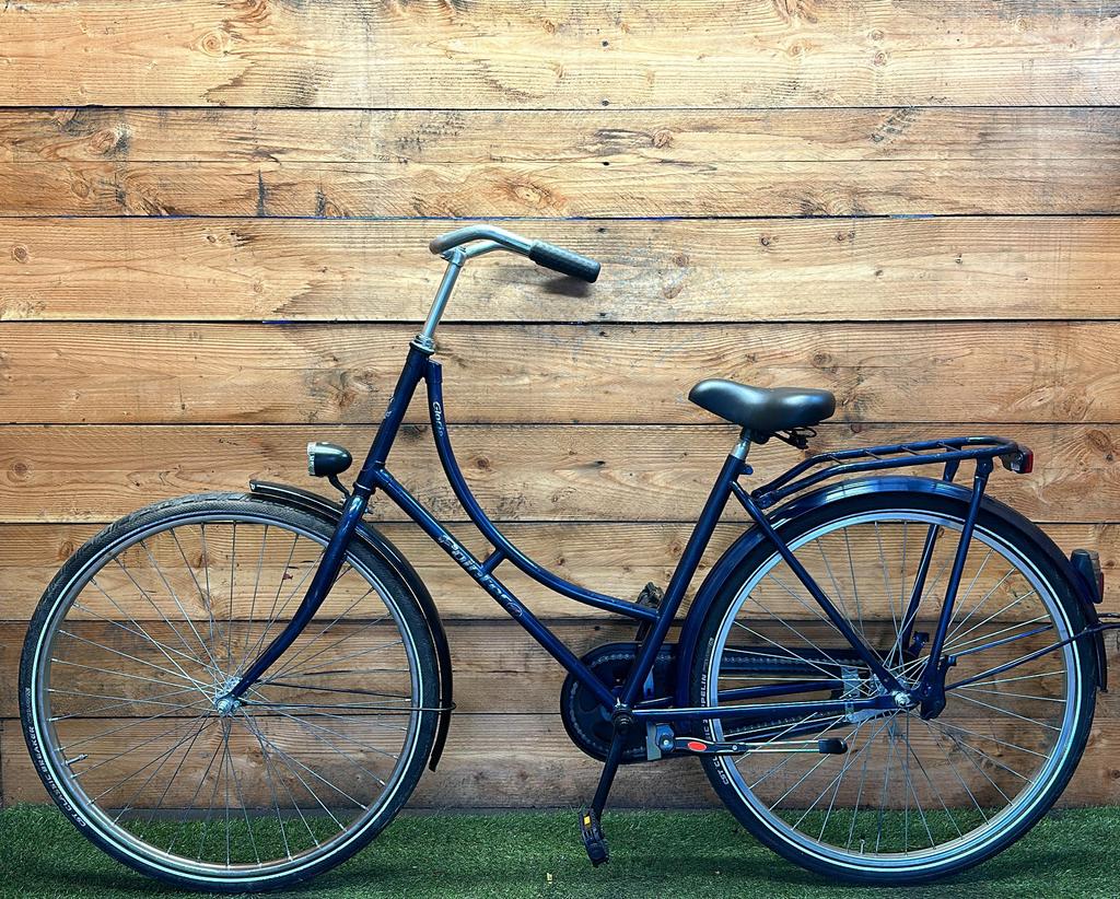 Pointer Gloria 28inch 50cm