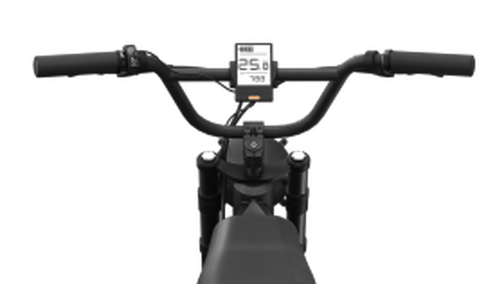 Popal GTX Fatbike E-bike 20inch