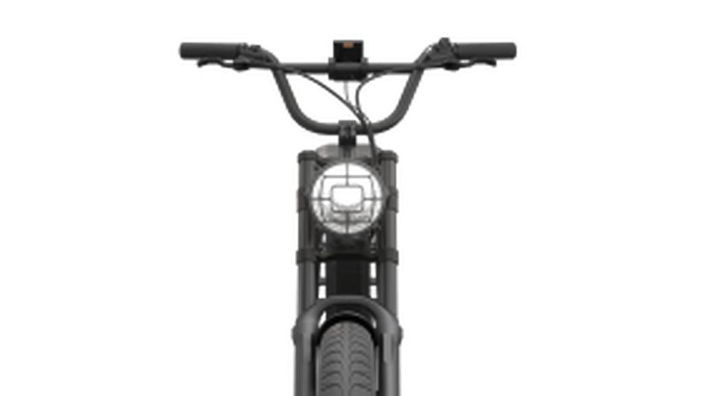 Popal GTX Fatbike E-bike 20inch