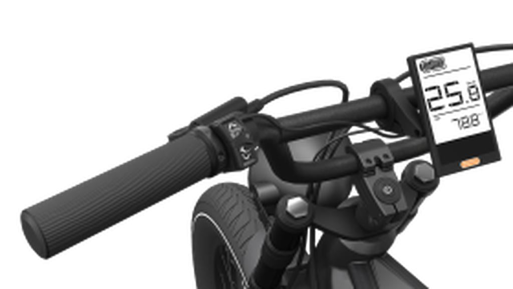 Popal GTX Fatbike E-bike 20inch