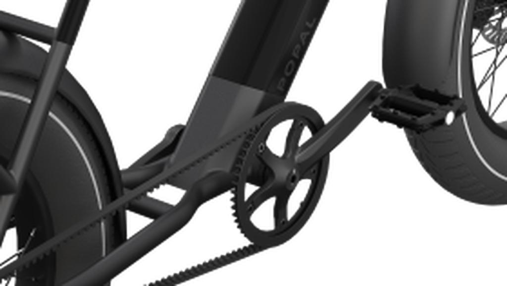 Popal GTX Fatbike E-bike 20inch