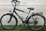 Raleigh C40