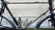 Raleigh Eagle