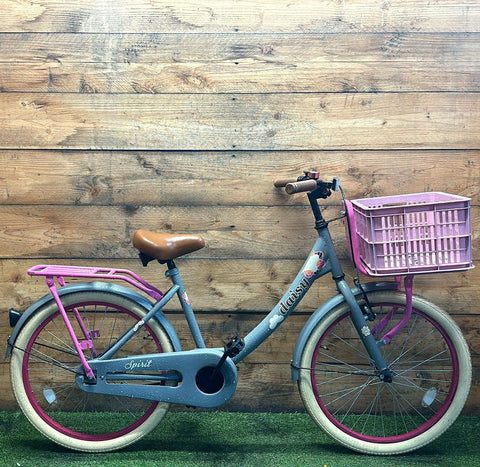 Marguerite Spirituelle 22 pouces 36 cm